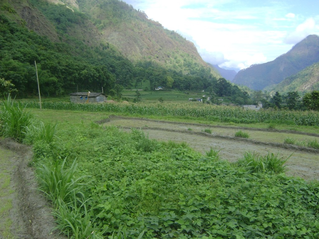 DSC00510