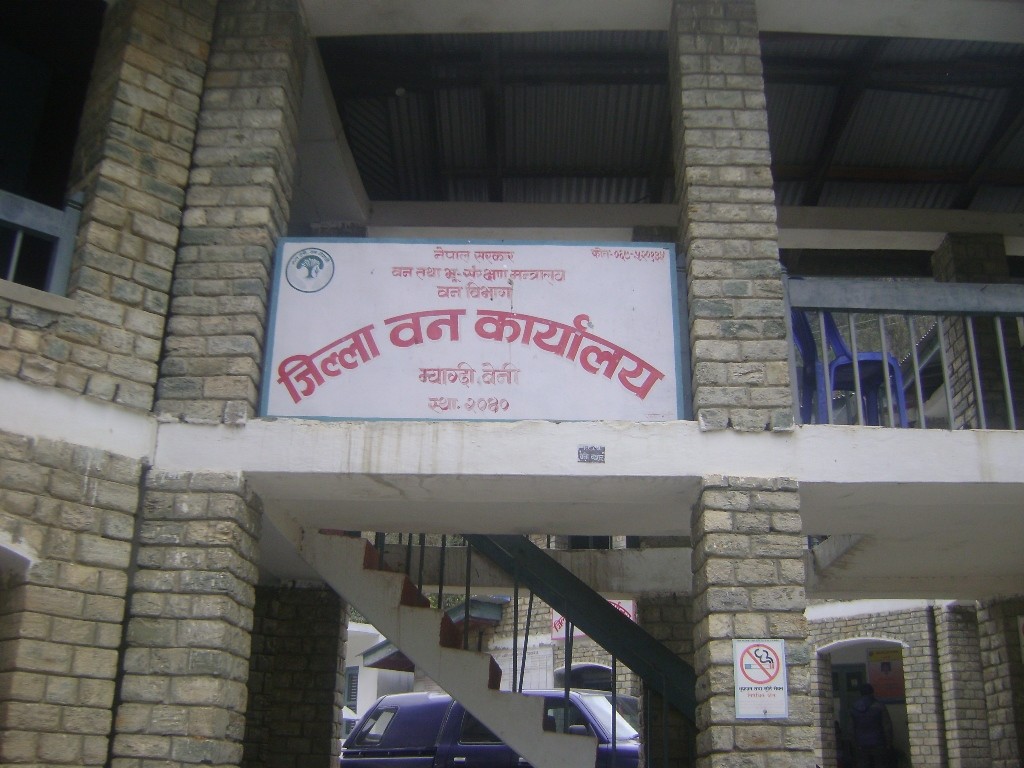 forest office