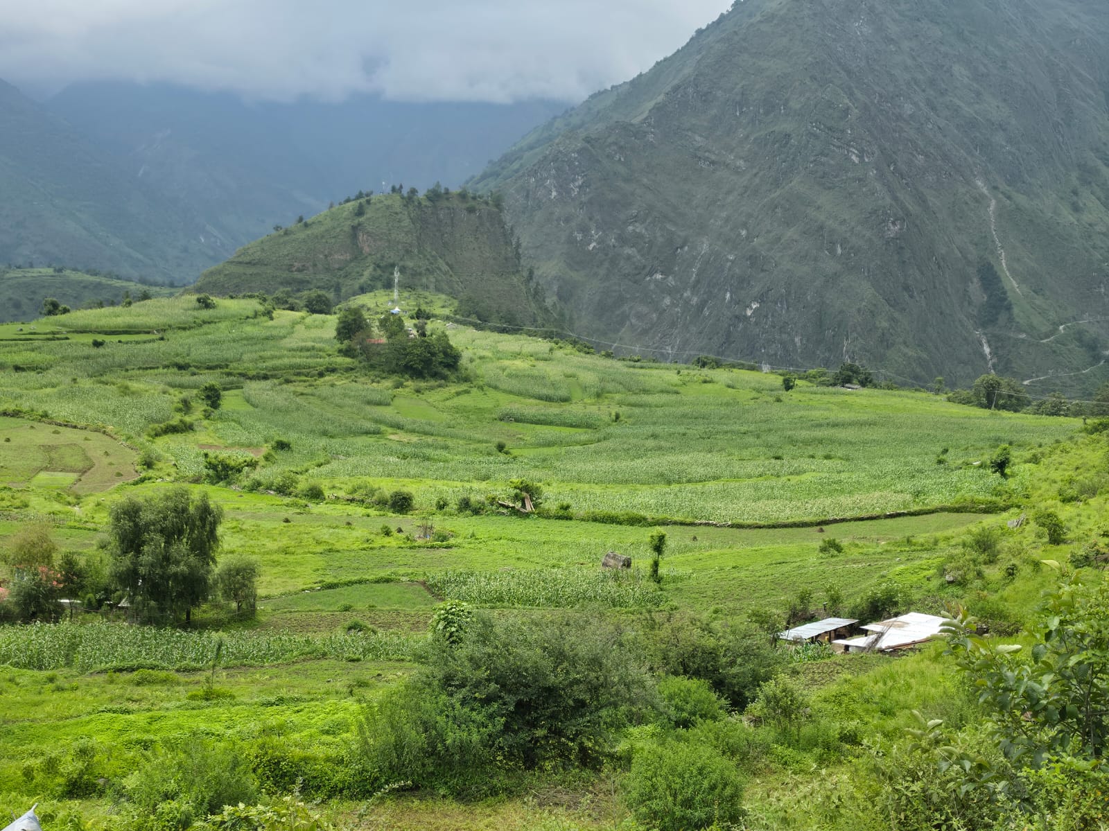 अन्नपूर्णमा लेकगाउँ स्वाँरा फाँट सिँचाइ योजना सुरु हुँदै
