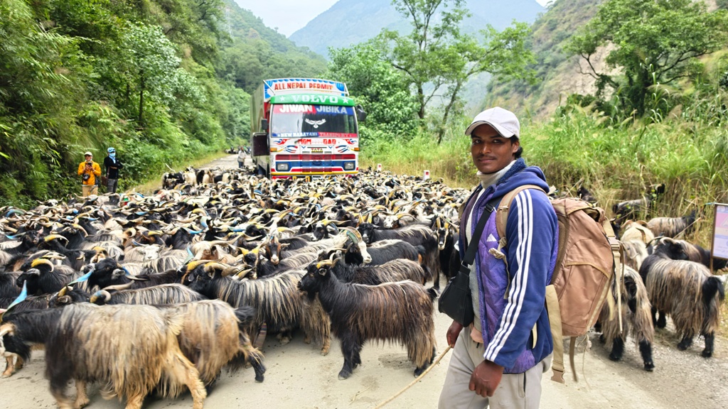 रेशमी मार्गको विरासत धानेको च्याङ्ग्रा व्यापार